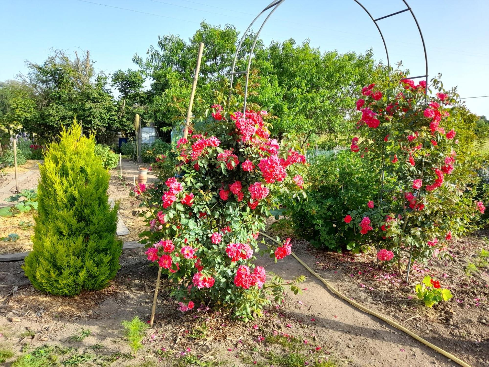 Hauterive  Les Abelias Bed & Breakfast エクステリア 写真