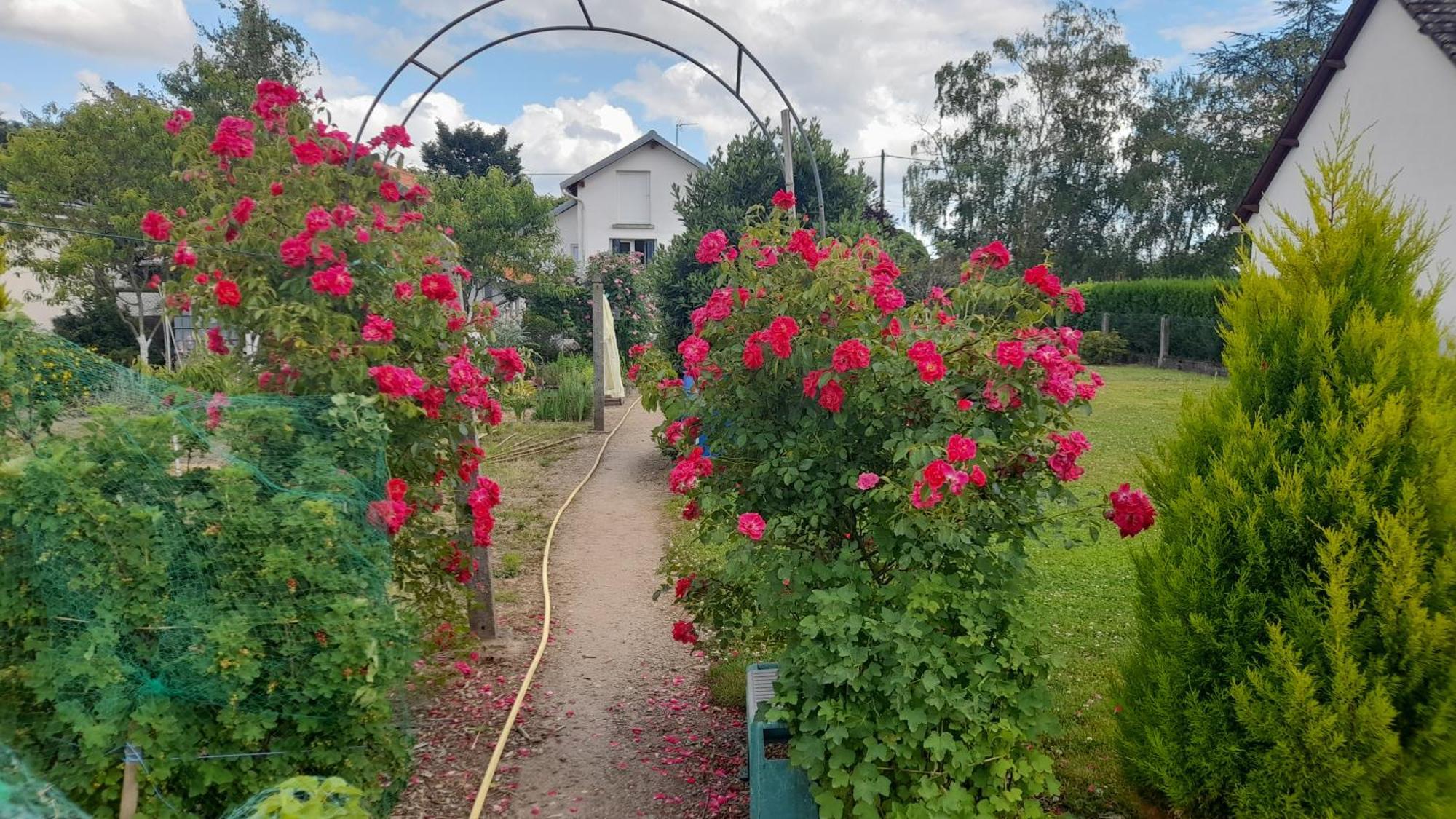 Hauterive  Les Abelias Bed & Breakfast エクステリア 写真